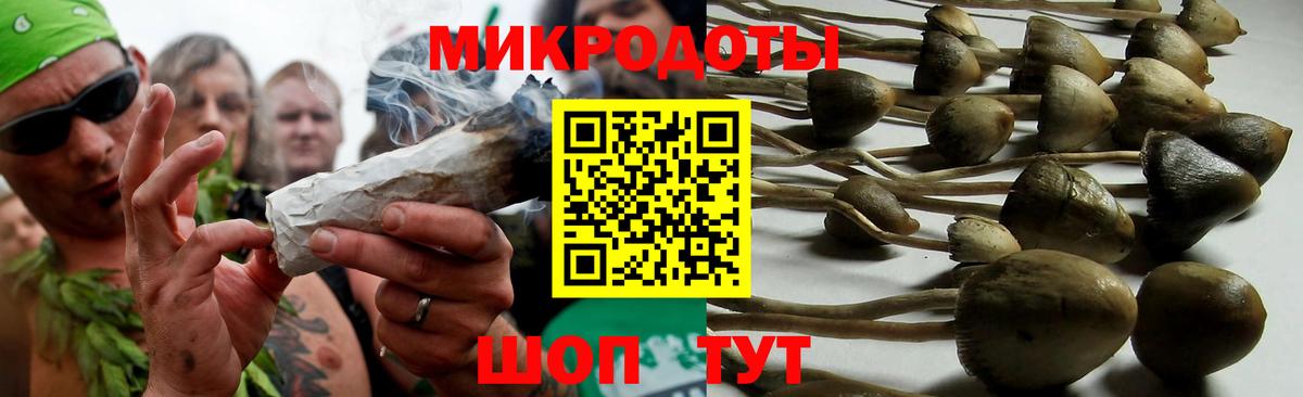 Новозыбков  Псилоцибиновые грибы GOLDEN TEACHER  Вход с VPN 